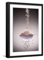 Sea Salt-Steve Gadomski-Framed Photographic Print