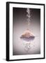 Sea Salt-Steve Gadomski-Framed Photographic Print