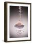 Sea Salt-Steve Gadomski-Framed Photographic Print