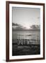 Sea Saltwater 2-Tracey Telik-Framed Art Print