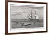 Sea Serpent Look-Alike Trailing Sea-Weed Observed by the French Ship "Pekin" off the Burma Coast-W.h. Freeman-Framed Premium Giclee Print