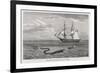 Sea Serpent Look-Alike Trailing Sea-Weed Observed by the French Ship "Pekin" off the Burma Coast-W.h. Freeman-Framed Premium Giclee Print