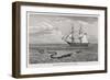 Sea Serpent Look-Alike Trailing Sea-Weed Observed by the French Ship "Pekin" off the Burma Coast-W.h. Freeman-Framed Art Print