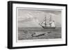 Sea Serpent Look-Alike Trailing Sea-Weed Observed by the French Ship "Pekin" off the Burma Coast-W.h. Freeman-Framed Art Print