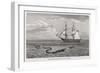 Sea Serpent Look-Alike Trailing Sea-Weed Observed by the French Ship "Pekin" off the Burma Coast-W.h. Freeman-Framed Art Print