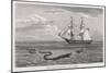 Sea Serpent Look-Alike Trailing Sea-Weed Observed by the French Ship "Pekin" off the Burma Coast-W.h. Freeman-Mounted Art Print