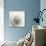 Sea Shapes I-Amy Melious-Stretched Canvas displayed on a wall