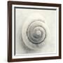 Sea Shapes I-Amy Melious-Framed Art Print