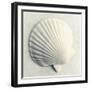 Sea Shapes II-Amy Melious-Framed Art Print