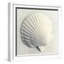 Sea Shapes II-Amy Melious-Framed Art Print