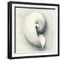 Sea Shapes III-Amy Melious-Framed Art Print