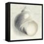 Sea Shapes IV-Amy Melious-Framed Stretched Canvas