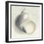 Sea Shapes IV-Amy Melious-Framed Art Print