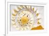 Sea Shell Abst No.4-Shams Rasheed-Framed Giclee Print