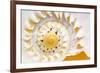 Sea Shell Abst No.4-Shams Rasheed-Framed Giclee Print