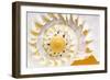 Sea Shell Abst No.4-Shams Rasheed-Framed Giclee Print