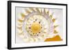 Sea Shell Abst No.4-Shams Rasheed-Framed Giclee Print