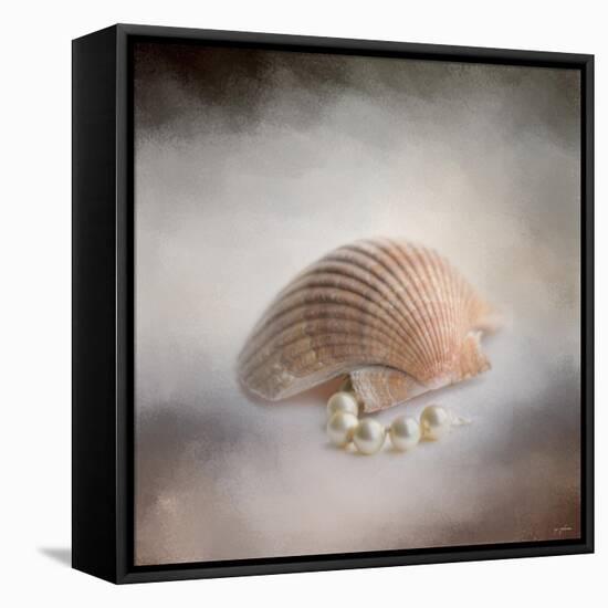 Sea Shell and Pearls-Jai Johnson-Framed Stretched Canvas