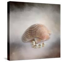 Sea Shell and Pearls-Jai Johnson-Stretched Canvas