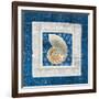 Sea Shell II on Blue-Belinda Aldrich-Framed Art Print