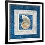 Sea Shell II on Blue-Belinda Aldrich-Framed Art Print