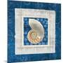 Sea Shell II on Blue-Belinda Aldrich-Mounted Art Print