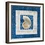 Sea Shell II on Blue-Belinda Aldrich-Framed Art Print