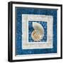 Sea Shell II on Blue-Belinda Aldrich-Framed Art Print