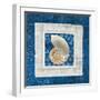 Sea Shell II on Blue-Belinda Aldrich-Framed Art Print