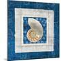 Sea Shell II on Blue-Belinda Aldrich-Mounted Art Print