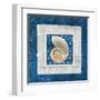 Sea Shell II on Blue-Belinda Aldrich-Framed Art Print