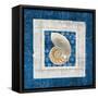 Sea Shell II on Blue-Belinda Aldrich-Framed Stretched Canvas