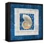 Sea Shell II on Blue-Belinda Aldrich-Framed Stretched Canvas