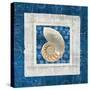 Sea Shell II on Blue-Belinda Aldrich-Stretched Canvas