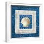 Sea Shell III on Blue-Belinda Aldrich-Framed Art Print