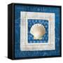 Sea Shell III on Blue-Belinda Aldrich-Framed Stretched Canvas