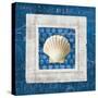Sea Shell III on Blue-Belinda Aldrich-Stretched Canvas