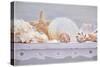 Sea Shell Still Life-Cora Niele-Stretched Canvas