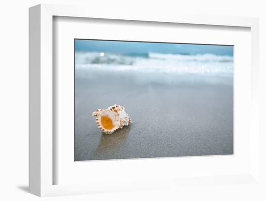 Sea Shell with Sea Wave, Florida Beach under the Sun Light, Live Action-lenka-Framed Photographic Print