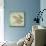 Sea Shell-Judy Stalus-Mounted Art Print displayed on a wall