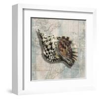 Sea Shell-Ted Broome-Framed Art Print