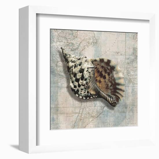 Sea Shell-Ted Broome-Framed Art Print