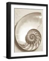 Sea Shell-Doug Chinnery-Framed Premium Photographic Print