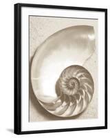 Sea Shell-Doug Chinnery-Framed Photographic Print