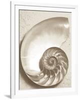 Sea Shell-Doug Chinnery-Framed Photographic Print