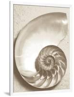 Sea Shell-Doug Chinnery-Framed Photographic Print