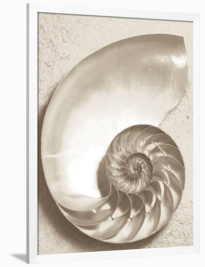 Sea Shell-Doug Chinnery-Framed Photographic Print