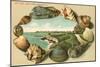 Sea Shells, Cliff Walk, Newport, Rhode Island-null-Mounted Art Print