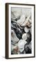 Sea Shells Detail No 4-Treechild-Framed Photographic Print