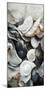 Sea Shells Detail No 4-Treechild-Mounted Photographic Print